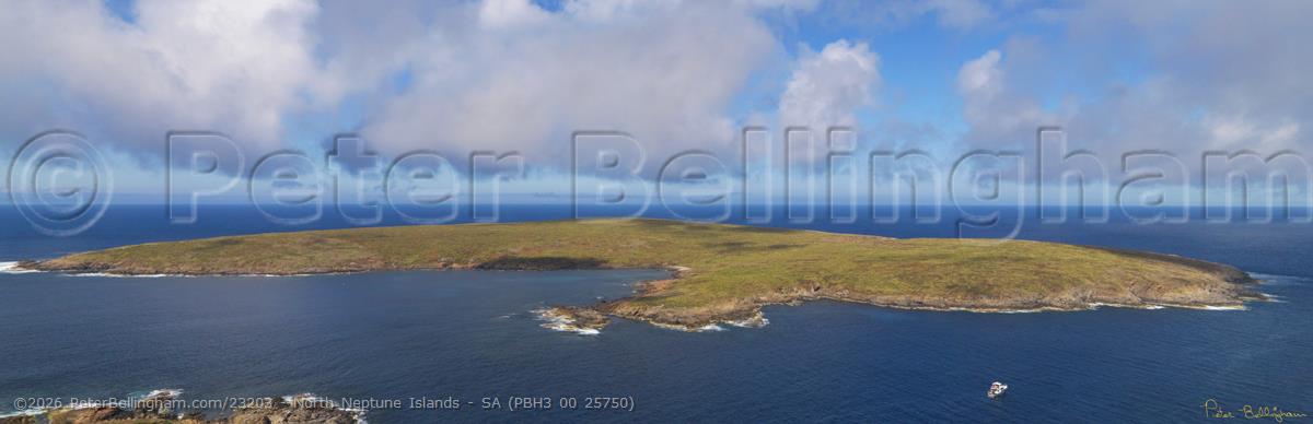 Peter Bellingham Photography North Neptune Islands - SA (PBH3 00 25750)
